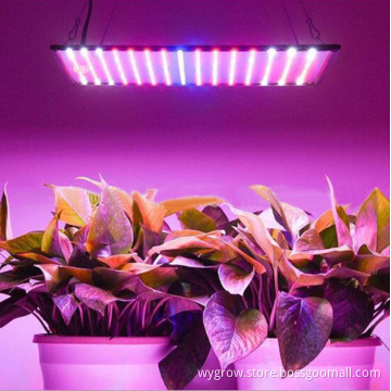 Hot Sale Wenyi 225 leds grow light panel